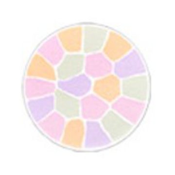 パーソナルカラーコスメ総合サイト「Color Catch」-ELEGANCE-ラプードルオートニュアンス01